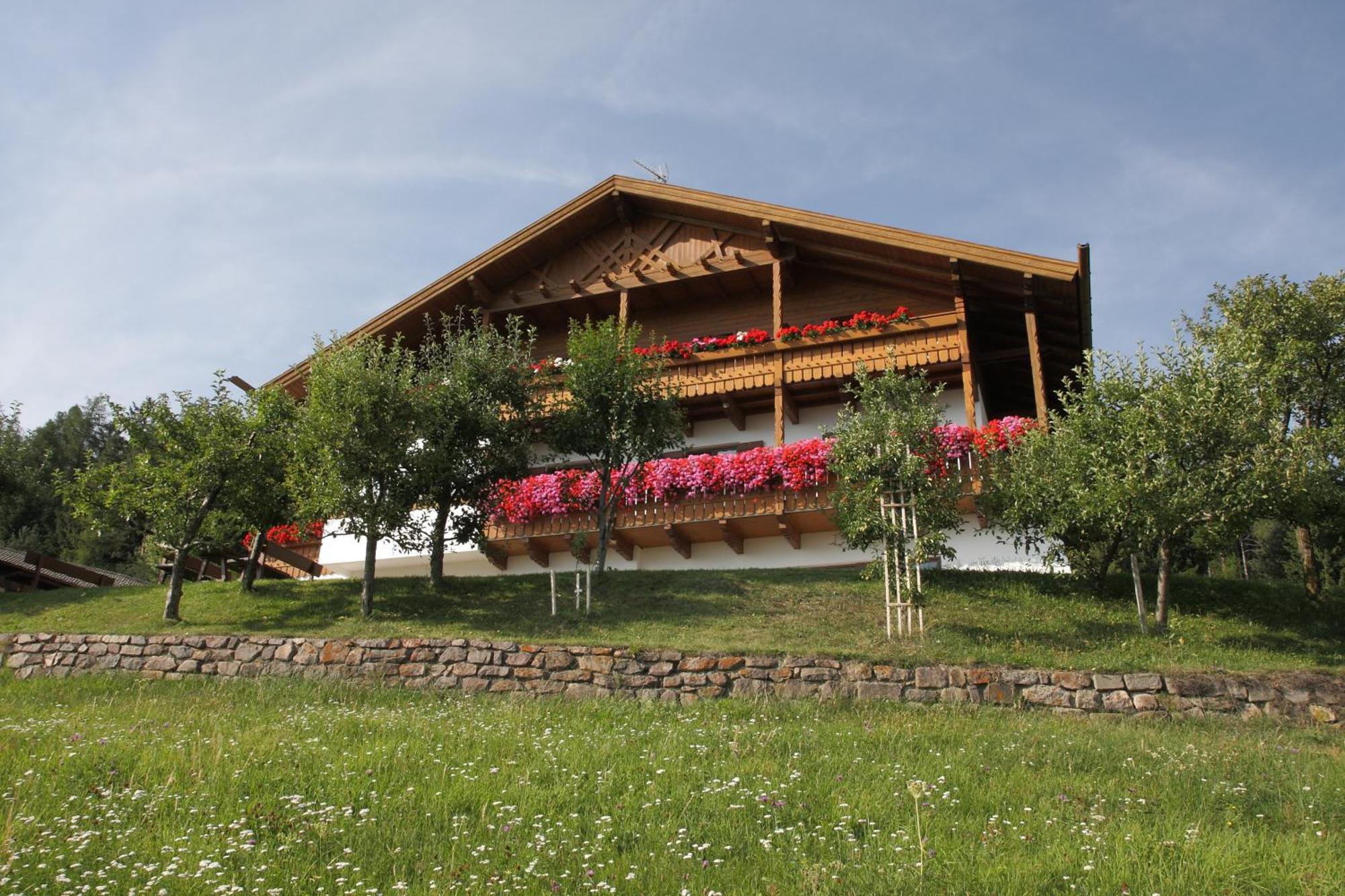 Gspoi-Hof Aparthotel Laion Exterior photo